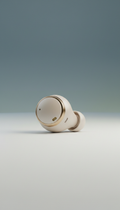 Wireless earbuds with adaptive noise cancellation